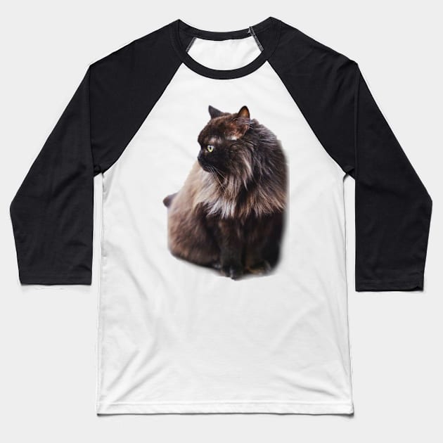 Black cat Baseball T-Shirt by daghlashassan